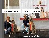  - Preston et sa soeur Pearl Wallonie Dog Show Mons 2023