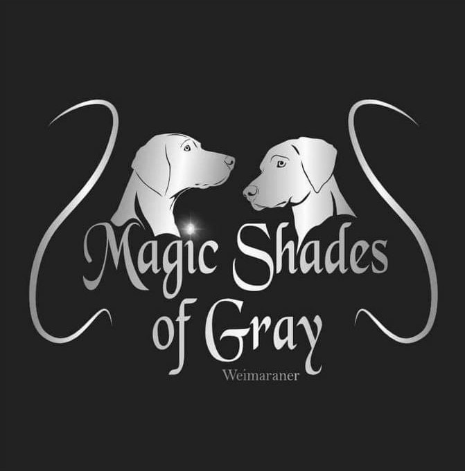 Magic Shades Of Gray
