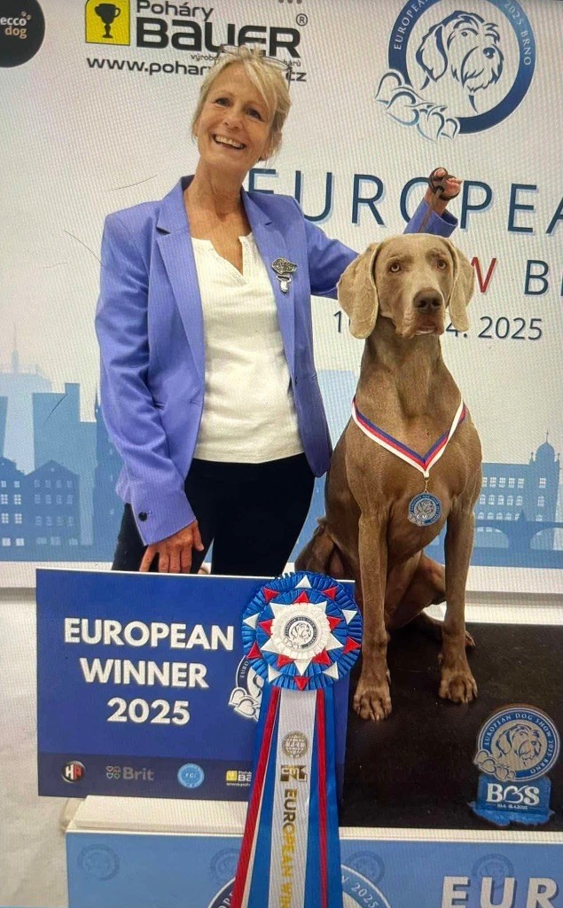 Preston European Winner 2025