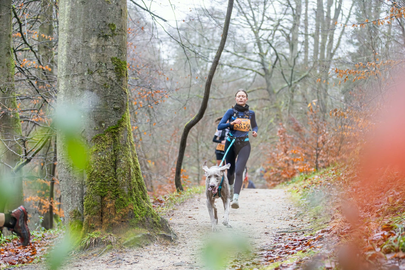 Quand la polyvalence parle d elle-même