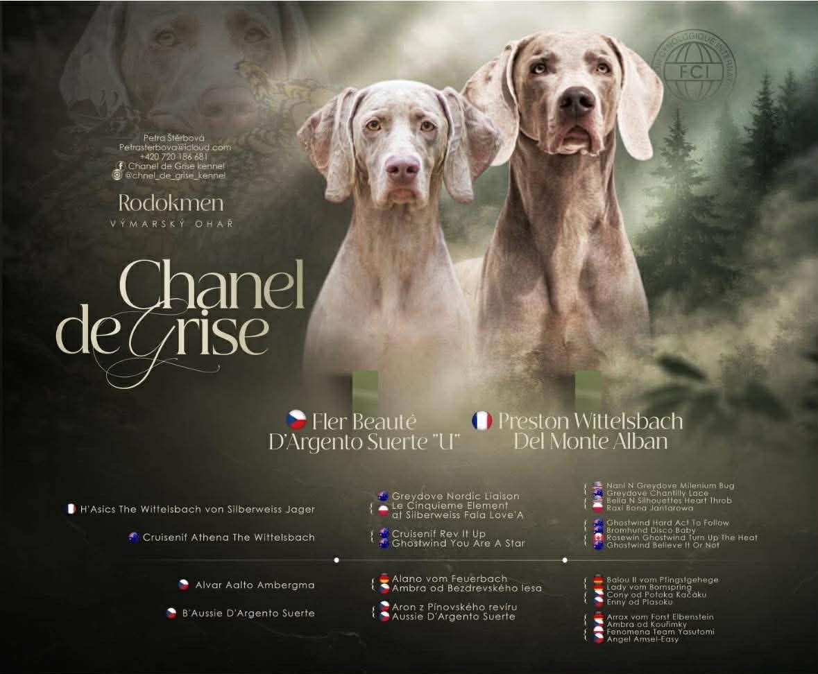 Portée internationale à venir